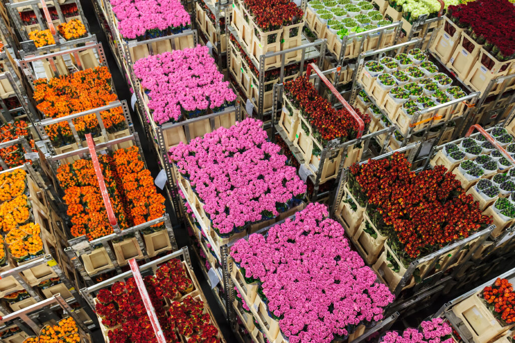 flower logistics