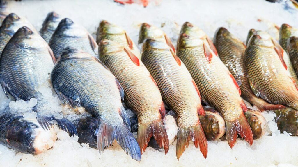 seafood logistics